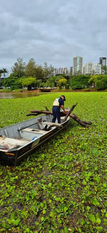 Imagem ilustrativa da imagem Falta de manutenção no Igapó afeta treinos de remo e canoagem