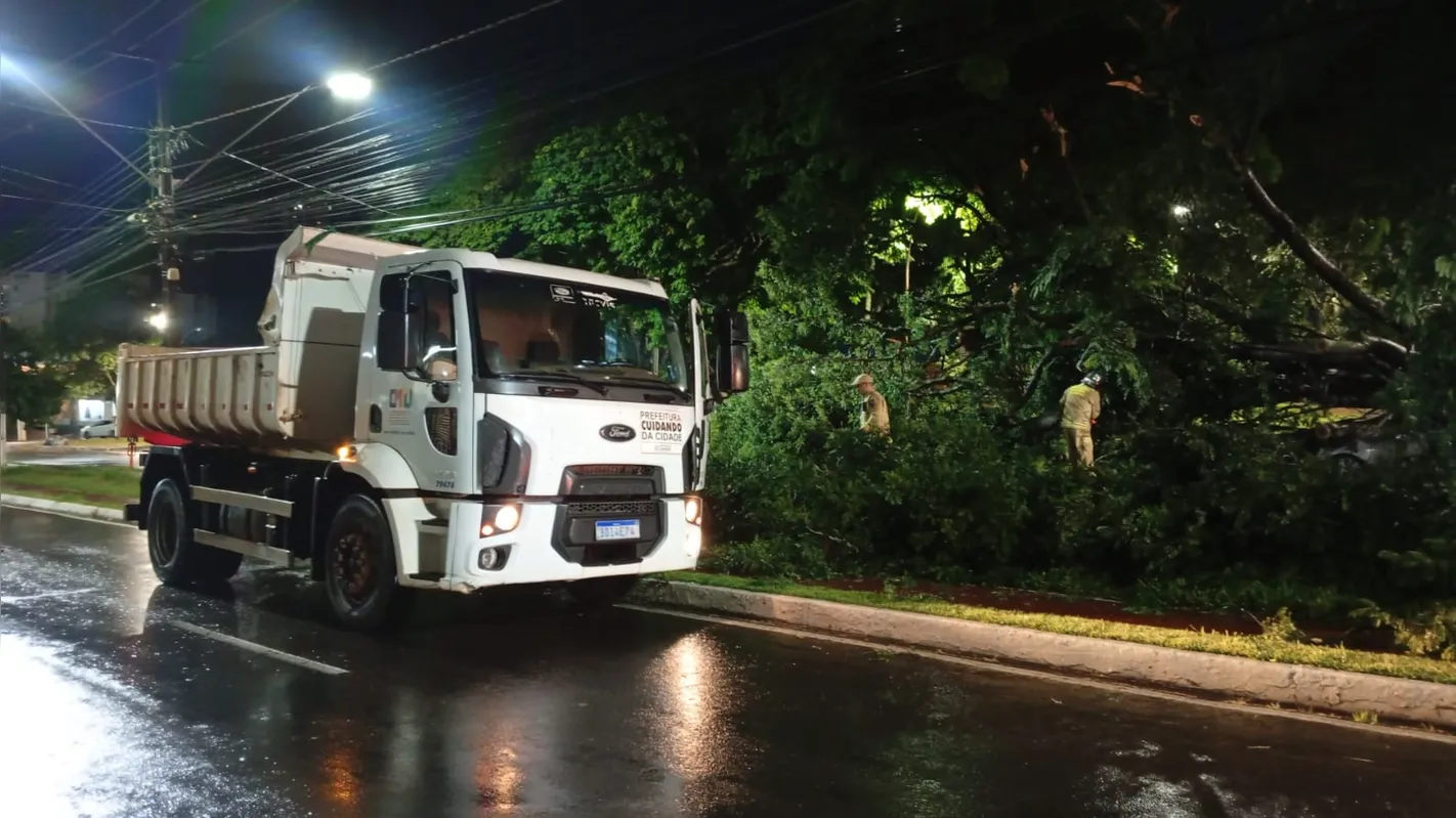 Árvore caída na Avenida Madre Leônia Milito foi retirada por uma equipe da CMTU
