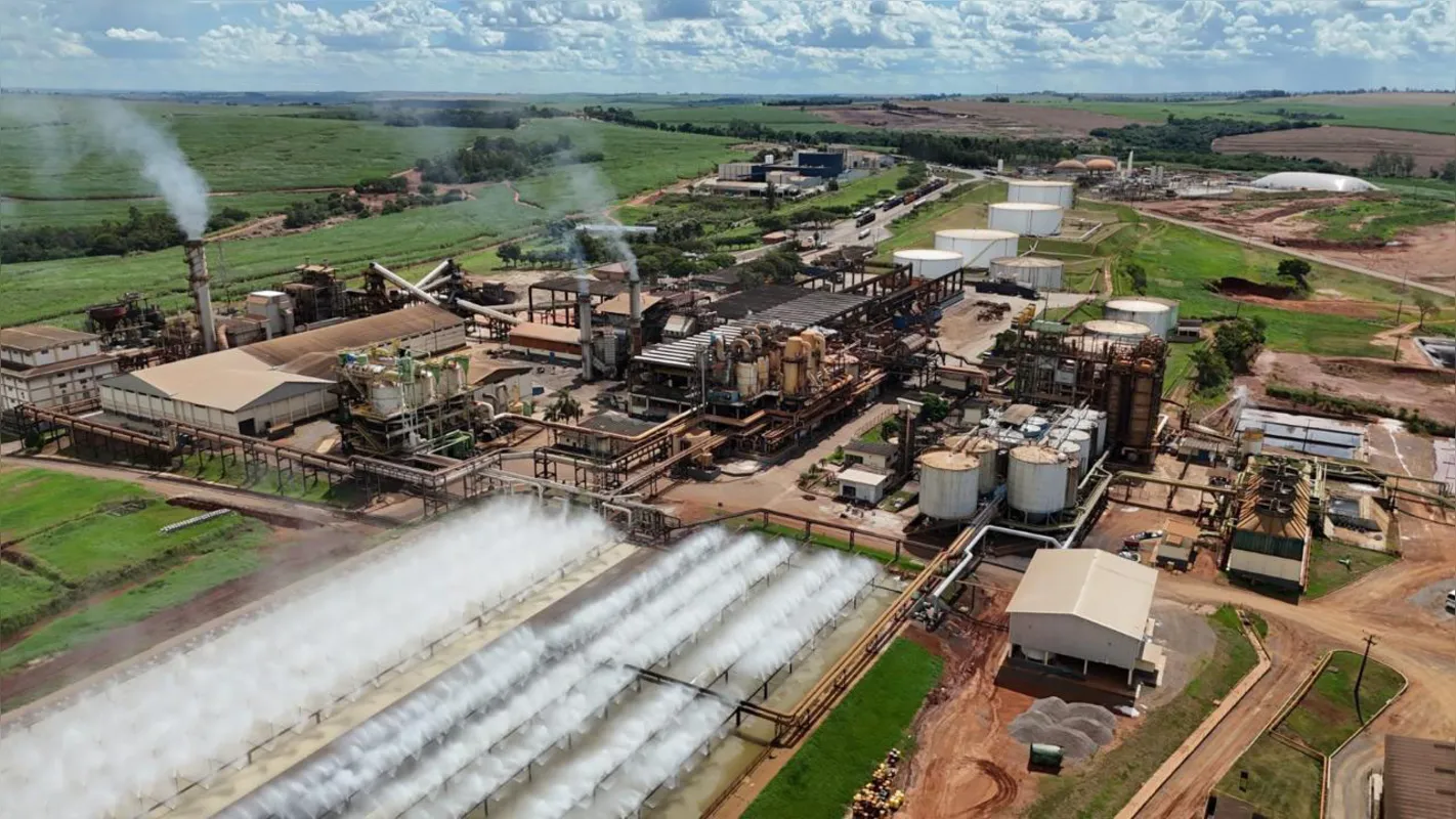 Com as contas saneadas, a cooperativa processa, em média, cerca de 3,5 milhões de toneladas por safra e fatura anualmente em torno de R$ 1 bilhão