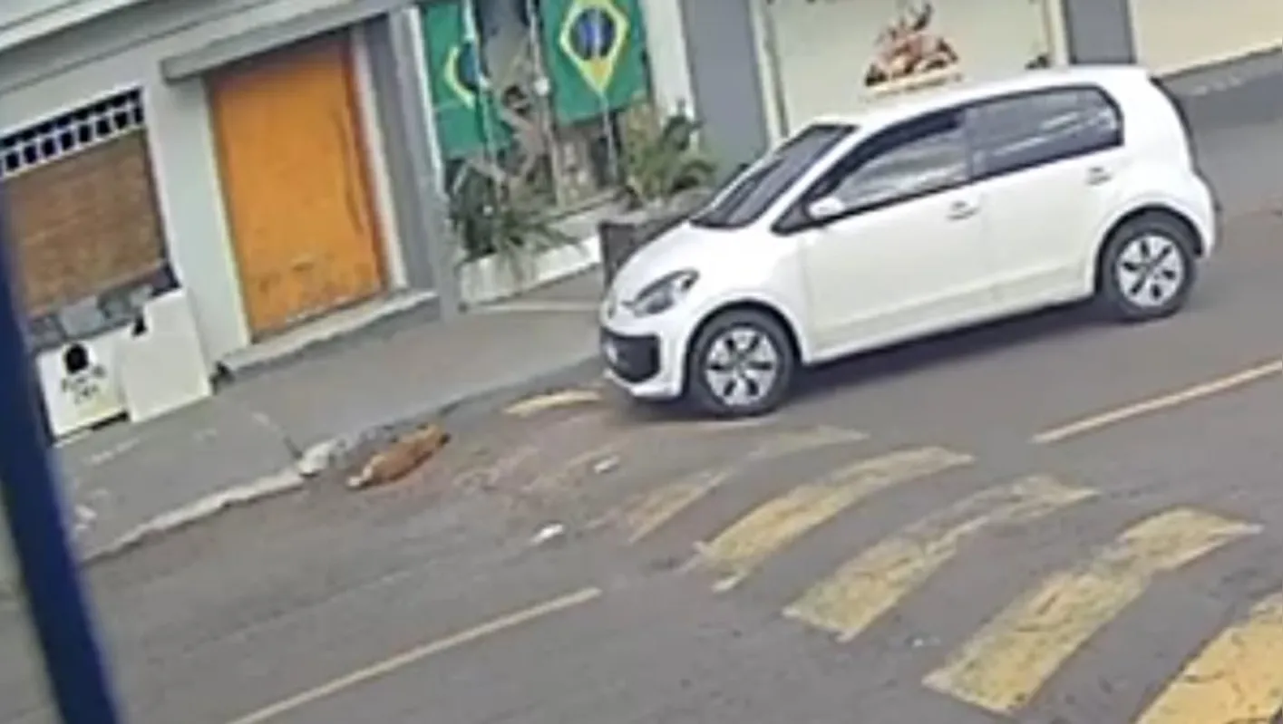Momento em que o veículo se aproxima do cão Marrom, que estava deitado perto do meio-fio