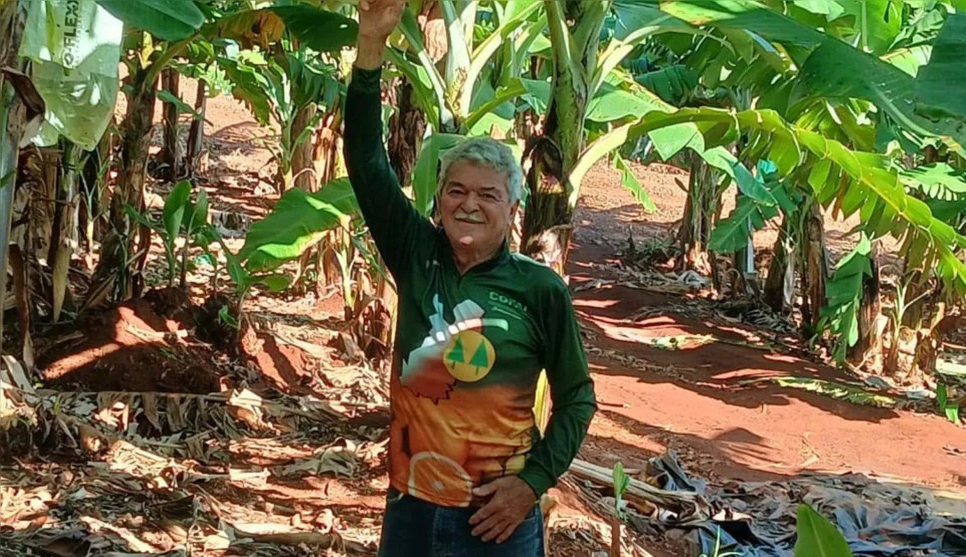 “O faturamento bruto por hectare/ano é de cerca de R$ 45 mil, muito maior que um hectare de grãos. O custo é de 40% do faturamento, em média”, informa João Rodrigues Filho, da Cofai