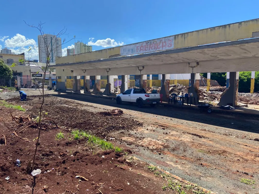 Trabalhadores atuam na limpeza do terreno, com roçada e poda de árvores