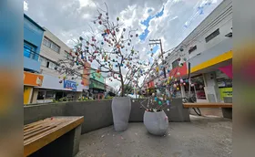 Clima de Páscoa invade Rolândia