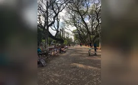 Feirinha no Zerão
