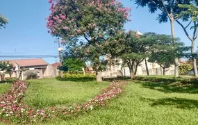 Caminhos Floridos