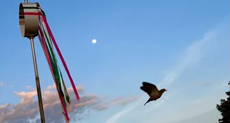 # CIDADE FALA