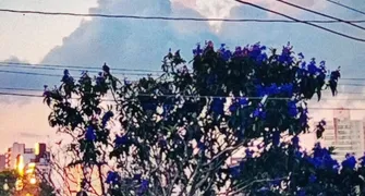 #A CIDADE FALA