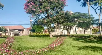 Caminhos Floridos