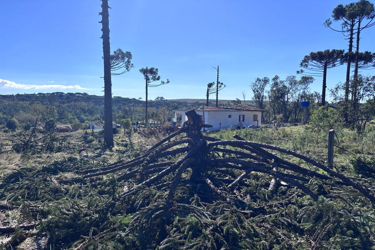 Imagem ilustrativa da imagem Com ventos de até 200km/h, tornado categoria F2 atinge município de Reserva