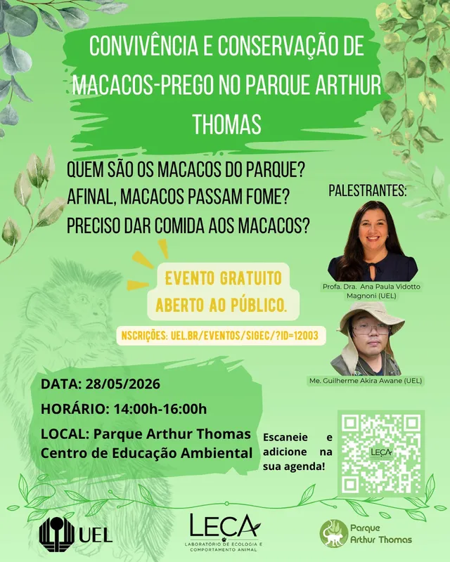 Imagem ilustrativa da imagem Convivência com macacos-prego é tema de palestra em Londrina nesta quinta