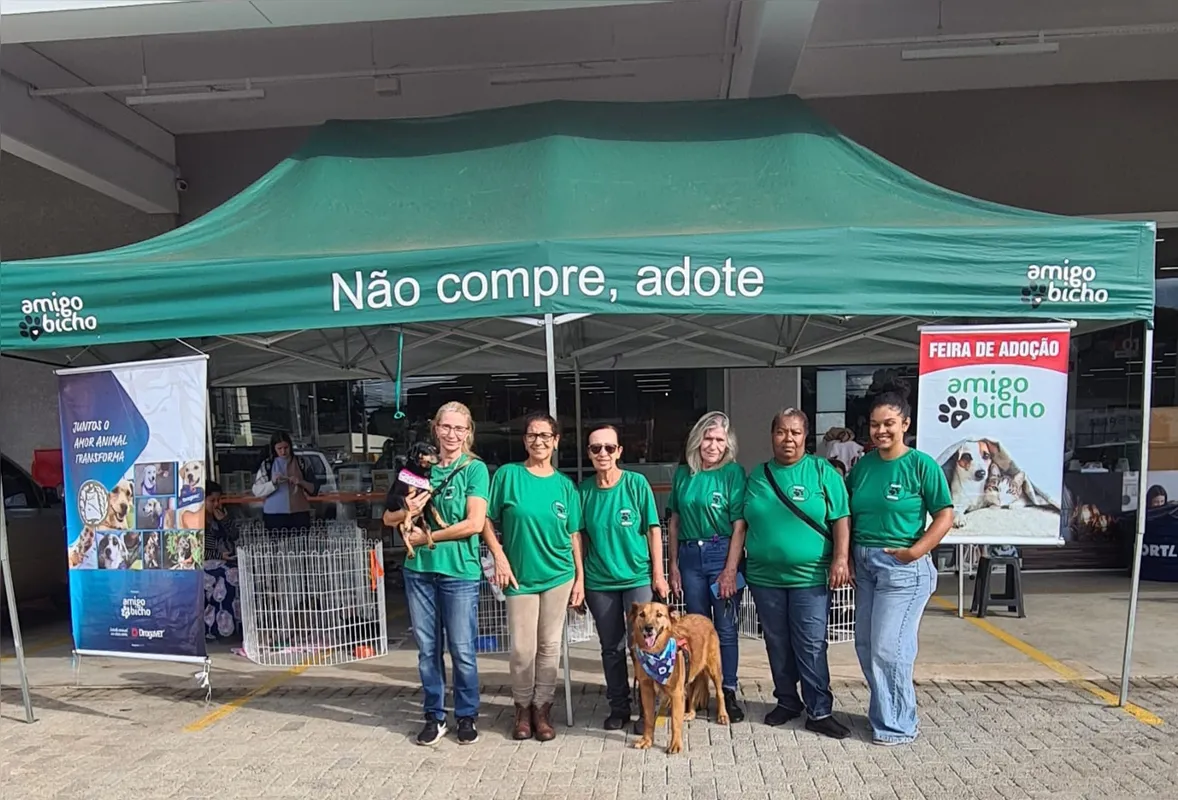 A Associação Amigo Bicho promove campanhas de adoção responsável semanalmente