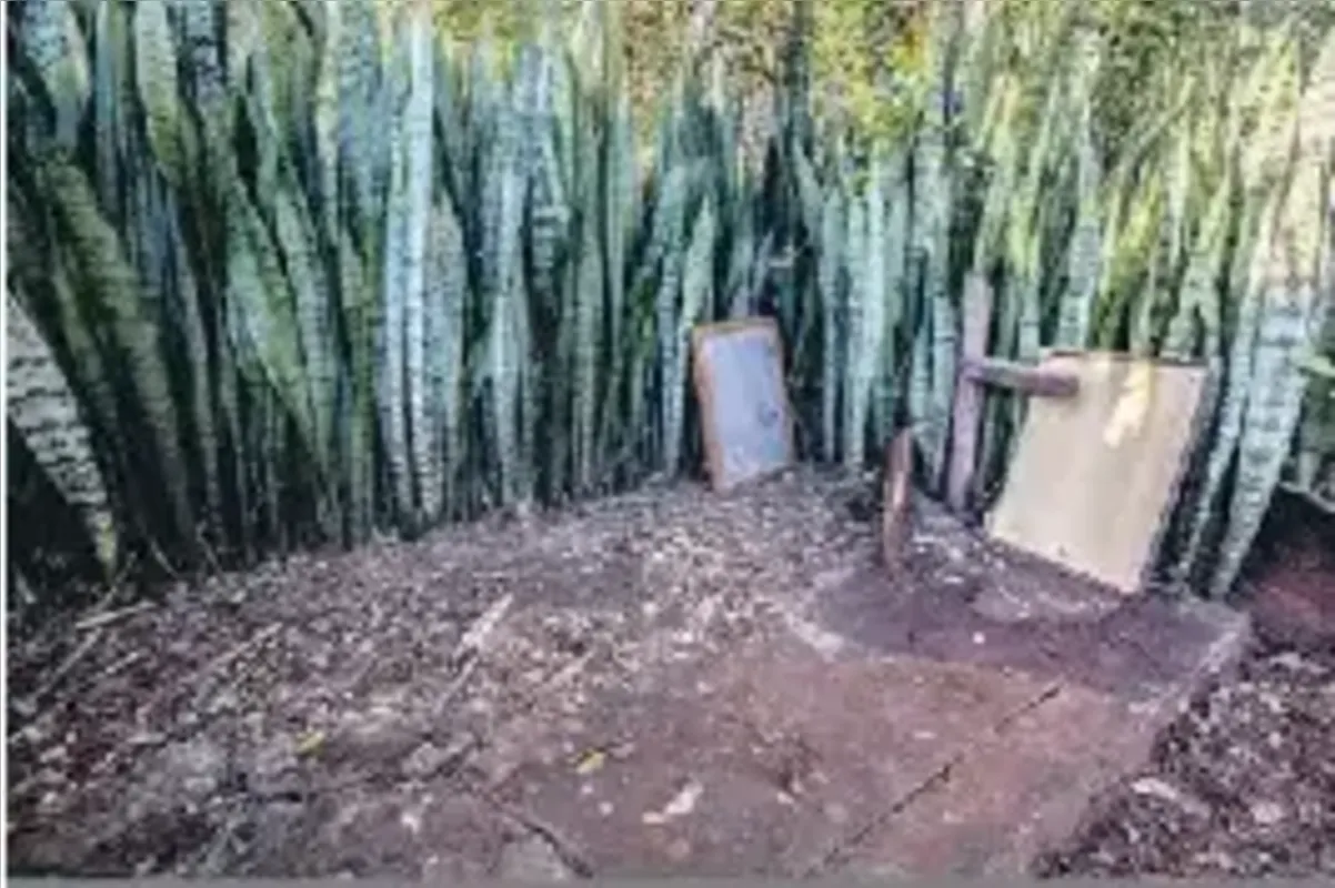 Cemitério da Vila Progresso, em Centenário do Sul, um dos palcos da Guerra de Porecatu