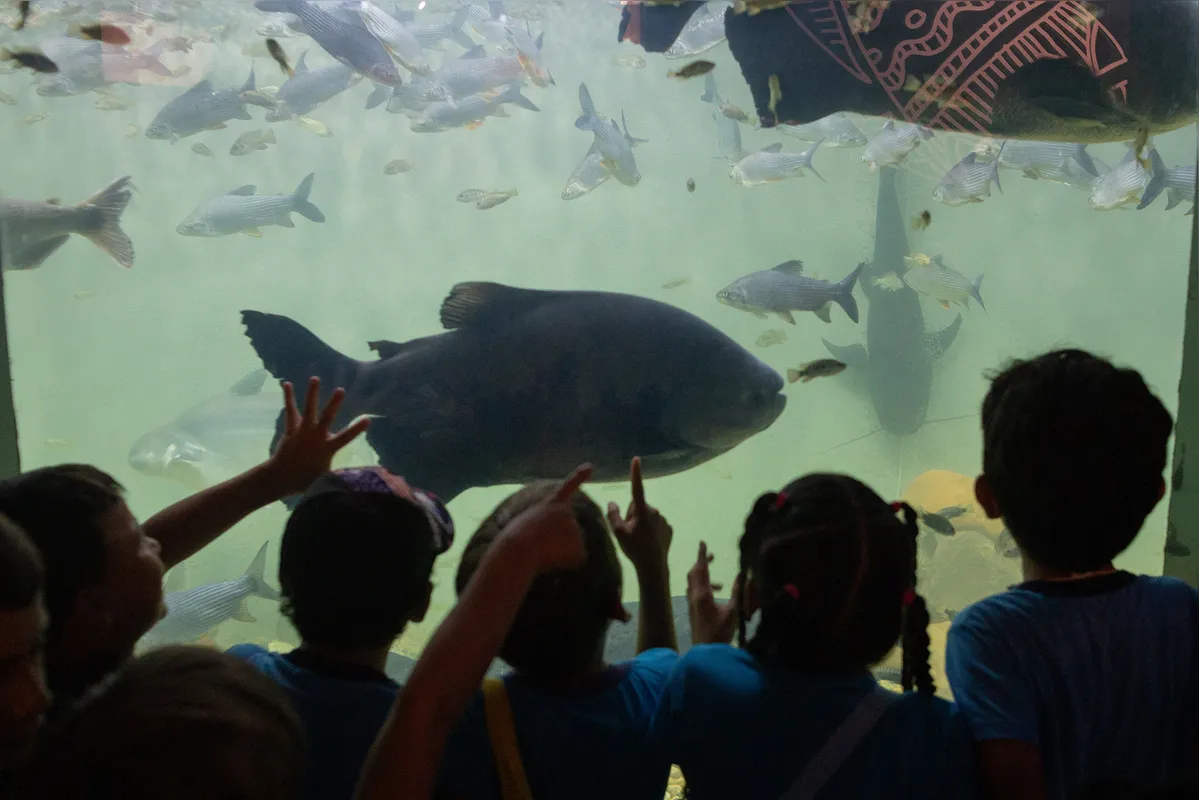 aquario
