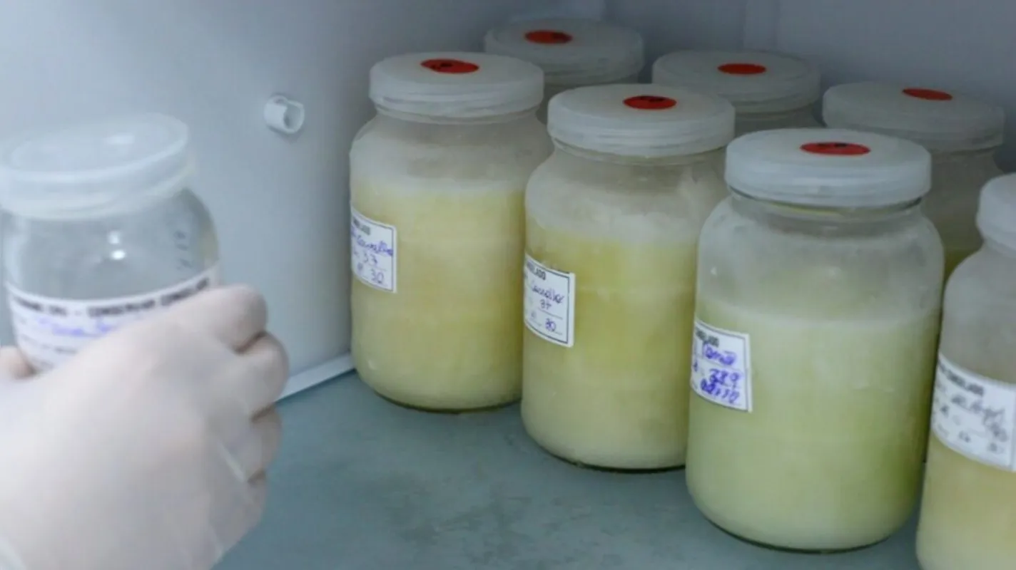Cada frasco de leite humano doado representa um gesto de solidariedade importante