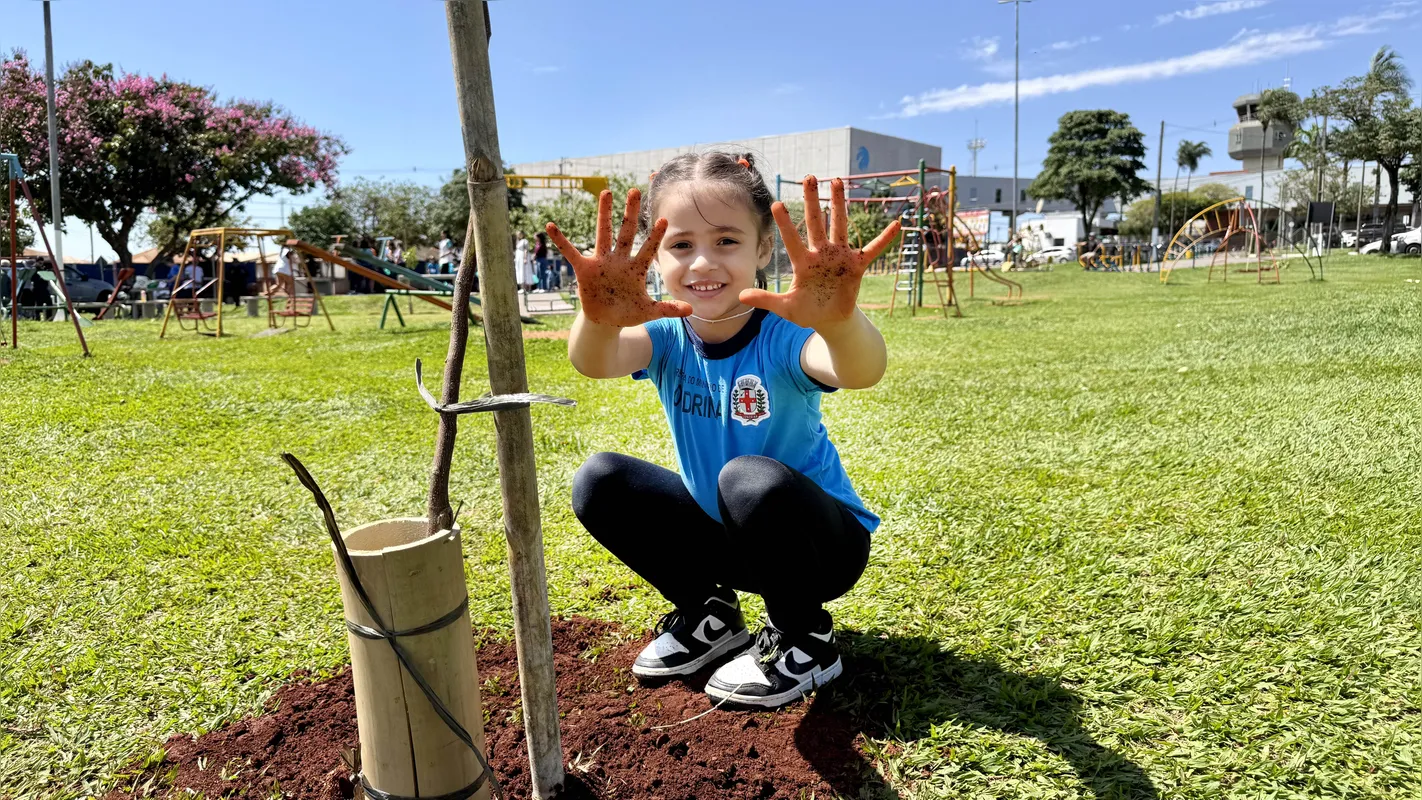 Plantio de árvores e cuidados com a limpeza das áreas verdes estão entre as ações das escolas