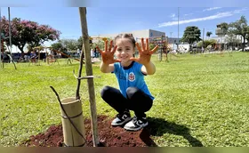 Rede Municipal deixa as escolas mais verdes com projeto ambiental