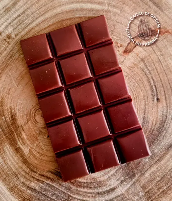 Imagem ilustrativa da imagem Cacau do Litoral do Paraná pode dar origem a chocolate único