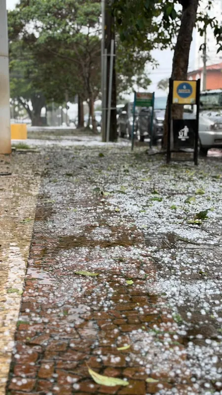 Imagem ilustrativa da imagem Chuva com granizo causa transtornos em Arapongas