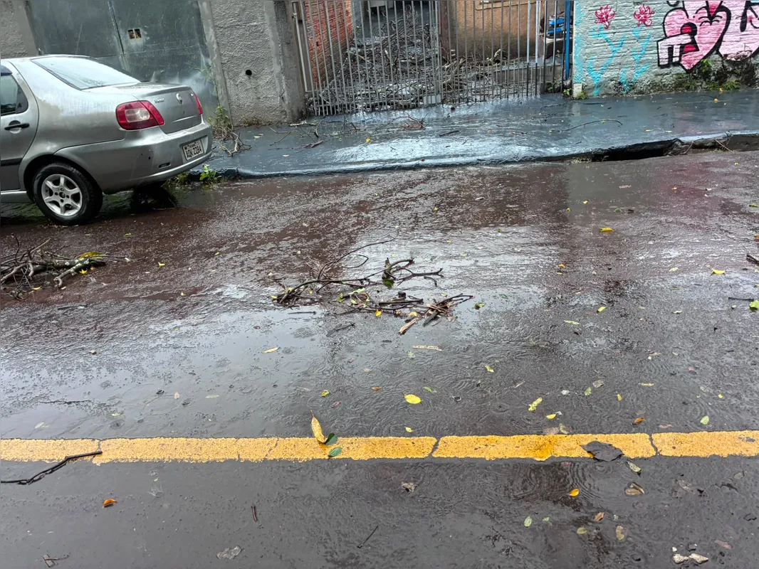 Galhos caídos e sujeira acumulada na avenida da Saudade