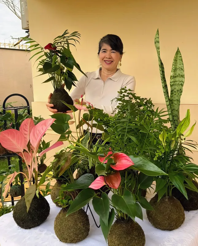 Produção artesanal de kokedamas de diversas espécies por Helena Finato