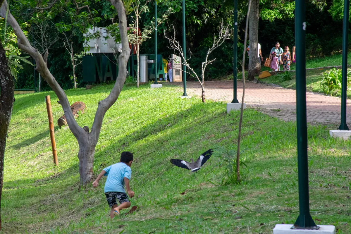 Imagem ilustrativa da imagem Famílias aproveitam o feriado do Dia das Crianças no Parque Arthur Thomas
