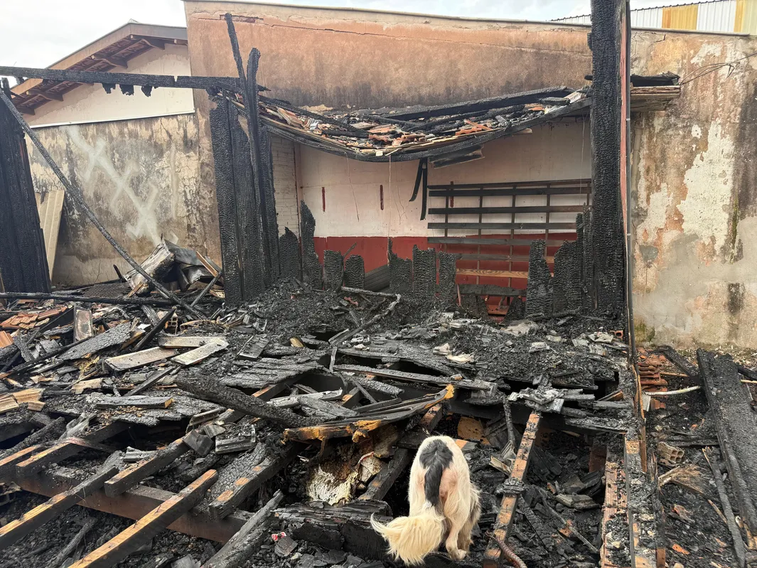 Imagem ilustrativa da imagem Incêndio destrói casa de madeira construída em 1940 na Vila Casoni
