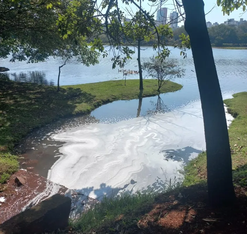 Aparição de espuma no Igapó 2, em agosto, demonstra lançamento irregular de esgoto
