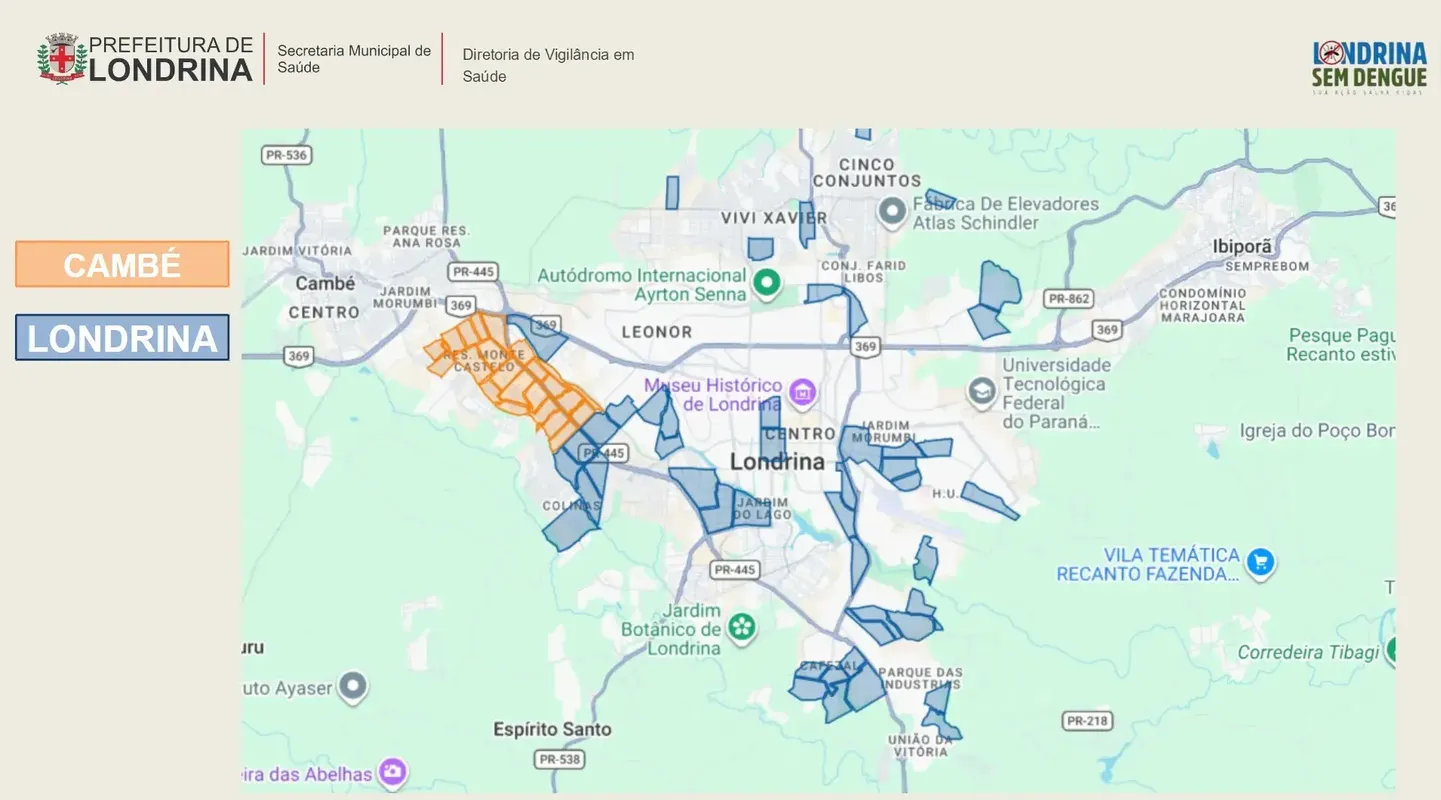 Imagem ilustrativa da imagem Londrina inicia nova etapa de liberação dos Wolbitos contra dengue