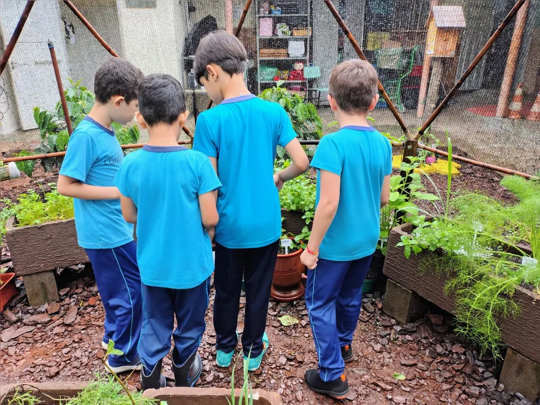 O cultivo de ervas na horta da Escola Municipal Carlos Dietz aproxima os alunos da natureza e incentiva o trabalho colaborativo