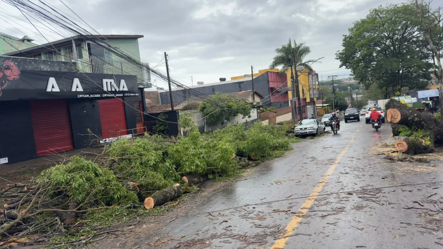 Imagem ilustrativa da imagem Rajadas de vento de 124 km/h causam estragos em Apucarana