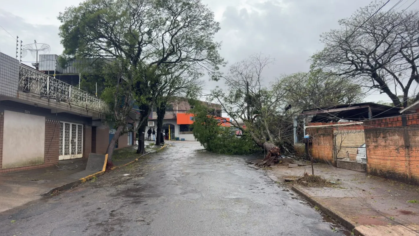 Imagem ilustrativa da imagem Rajadas de vento de 124 km/h causam estragos em Apucarana