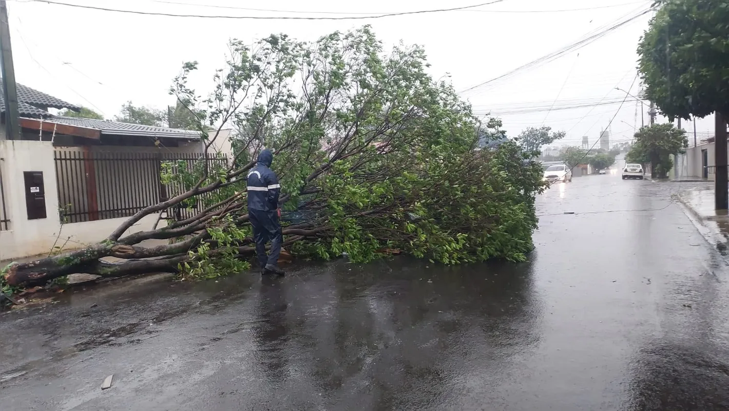 Imagem ilustrativa da imagem Temporais vão ser frequentes em Londrina até dezembro