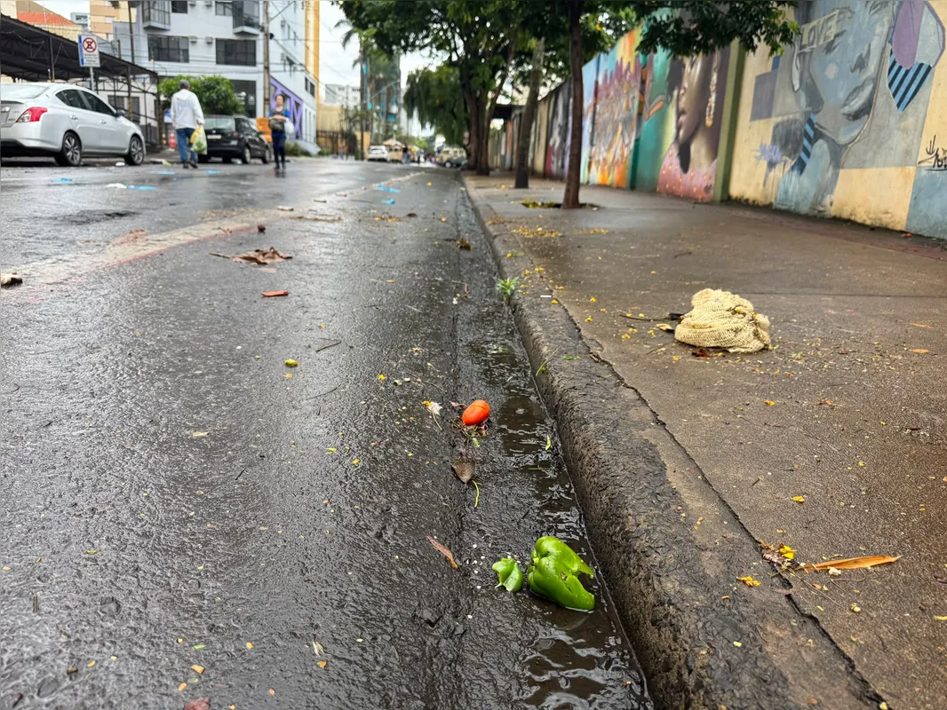Imagem ilustrativa da imagem Temporal assusta feirantes e derruba barracas em Londrina