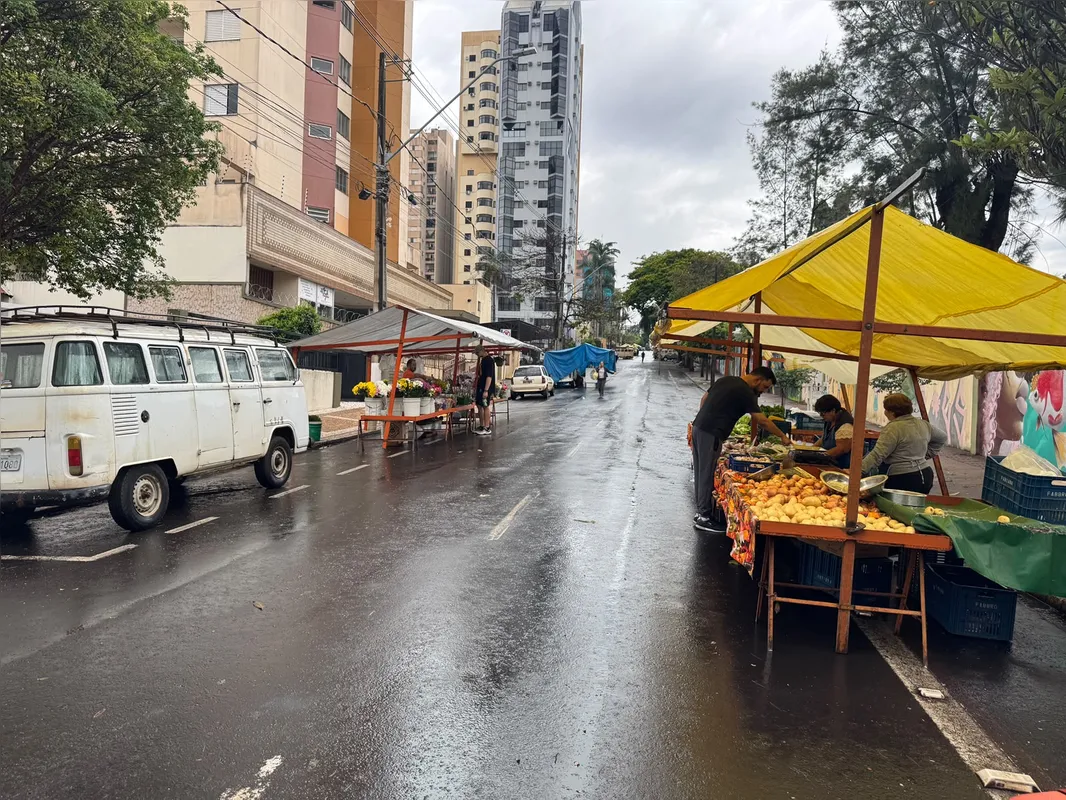 Imagem ilustrativa da imagem Temporal assusta feirantes e derruba barracas em Londrina