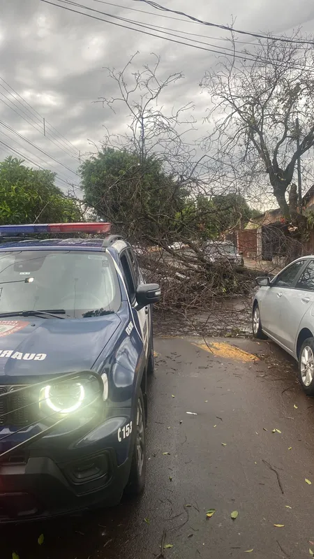 Imagem ilustrativa da imagem Temporal derruba estrutura de vidro na Rodoviária de Londrina
