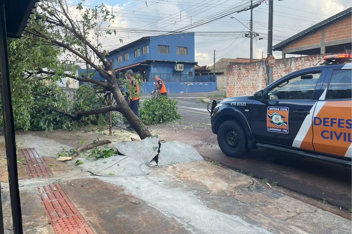 Imagem ilustrativa da imagem Vendaval e chuva causam 65 destelhamentos em Londrina