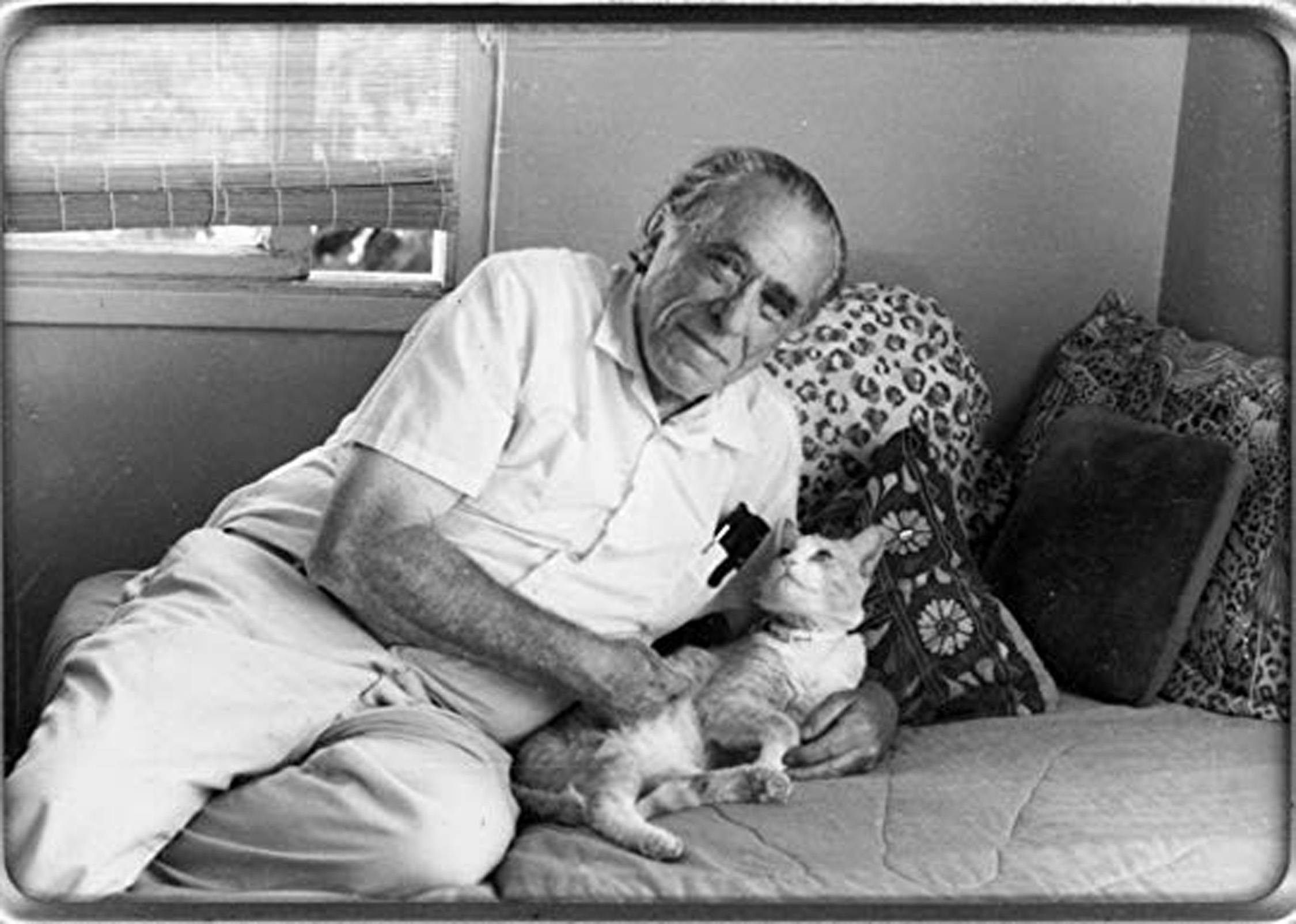 Charles Bukowski:"Um gato é a imagem da maquinaria eterna, igual ao mar. Nós não domesticamos o mar porque ele é bonitinho, mas domesticamos o gato. Por quê? Só porque ele nos deixa"