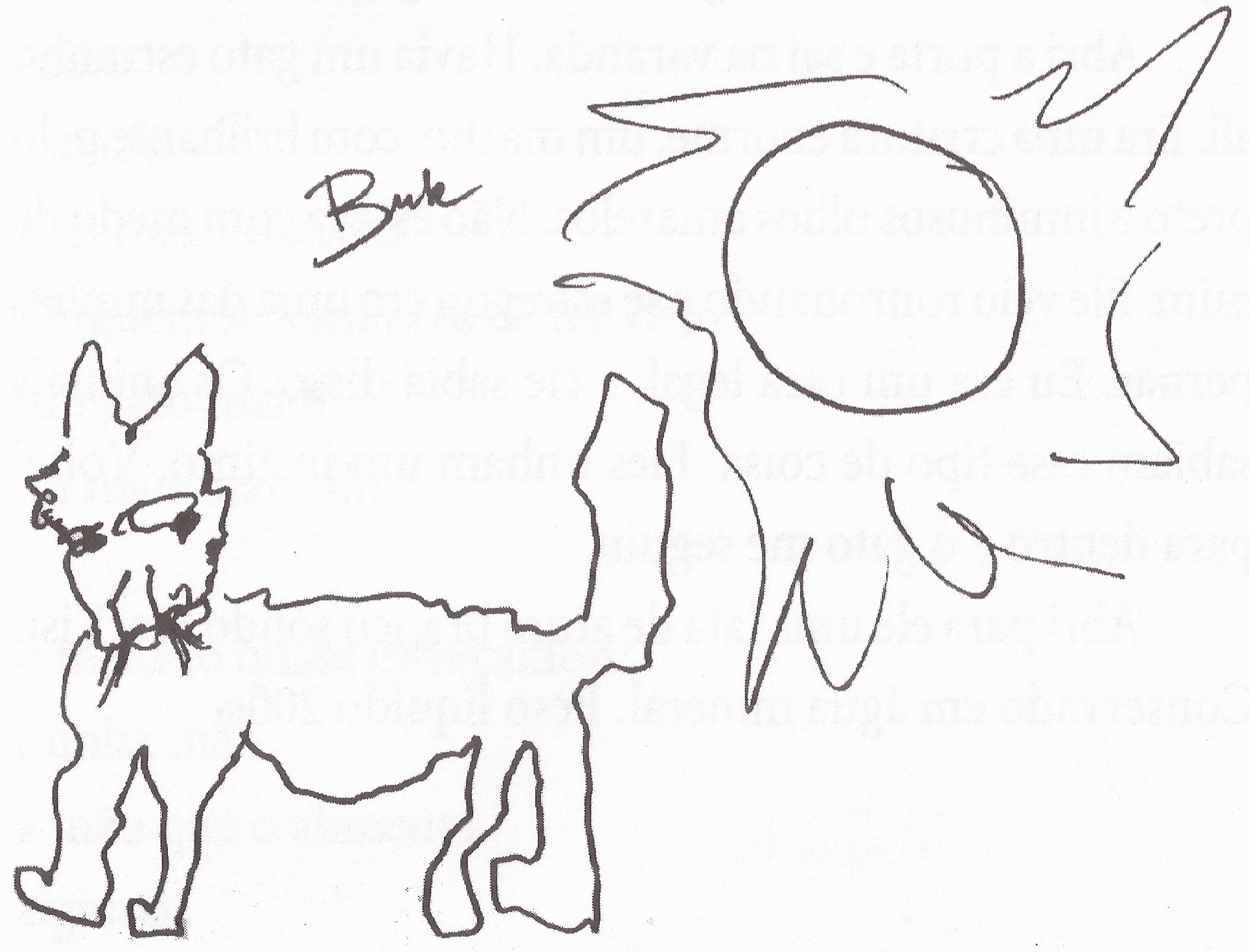 Um dos raros desenhos de gato feito por Bukowski