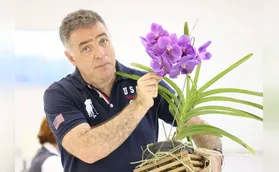 Feira de Orquídeas começa na sexta