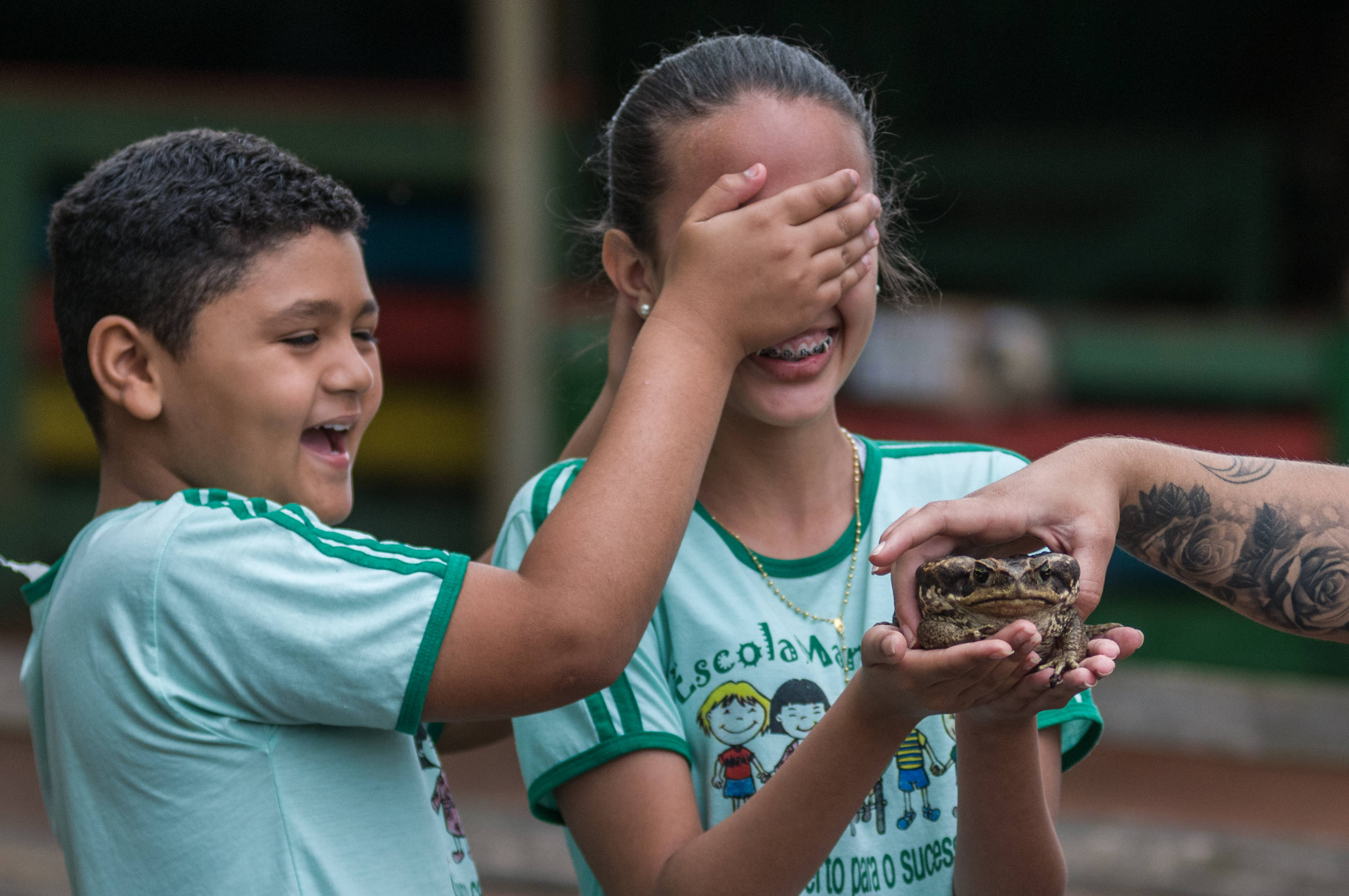 Tocar um sapo: experiência com gosto de aventura para os alunos da Escola Maria José da Silva Santos, de Assaí