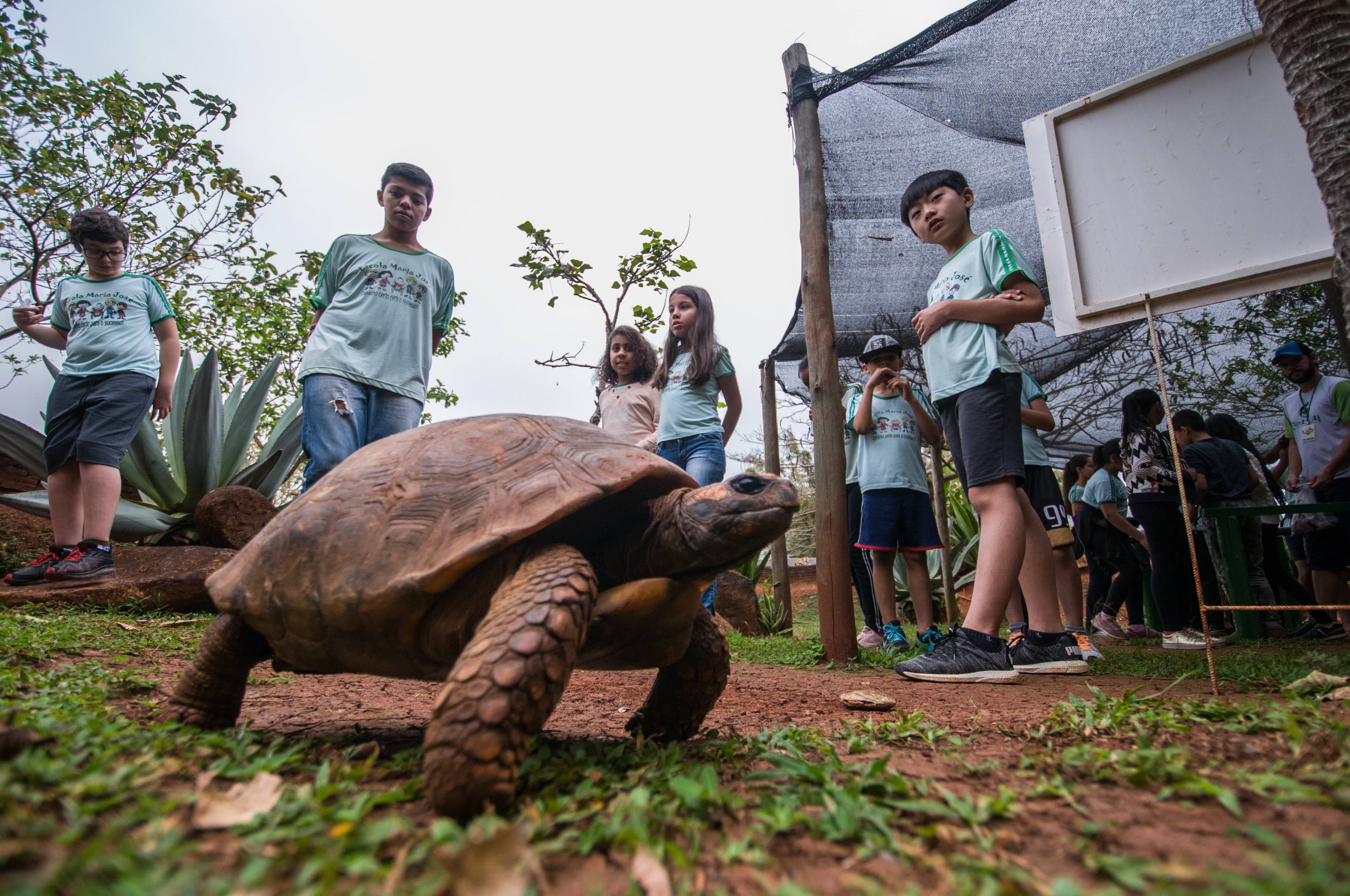 O animal que dá nome ao Espaço Jabuti não poderia faltar no passeio que divertiu professores e alunos