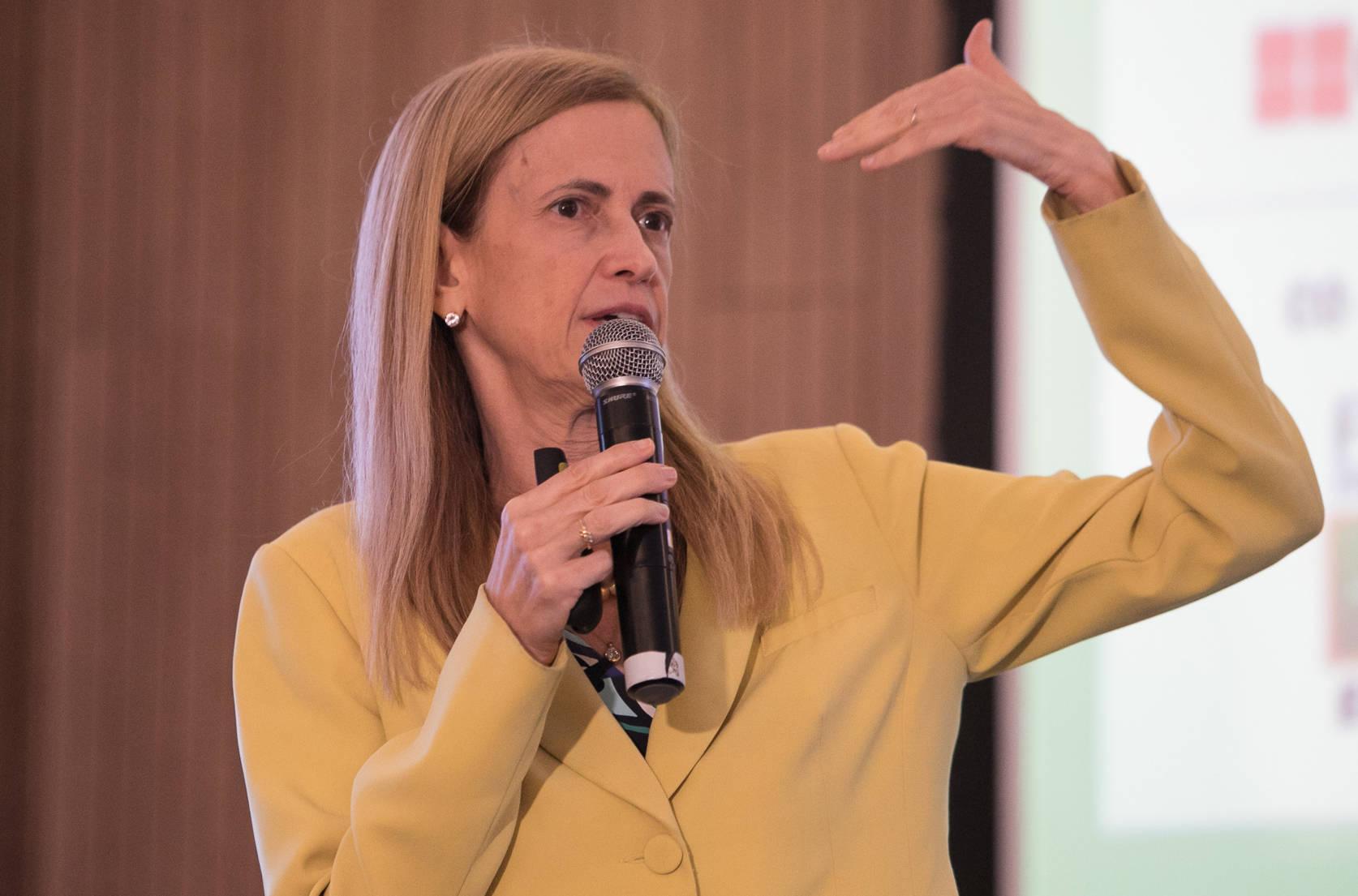 Aprovação da Base Nacional Comum Curricular e novas diretrizes para formação de professores são pontos que "salvam" 2019, avalia Claudia Costin