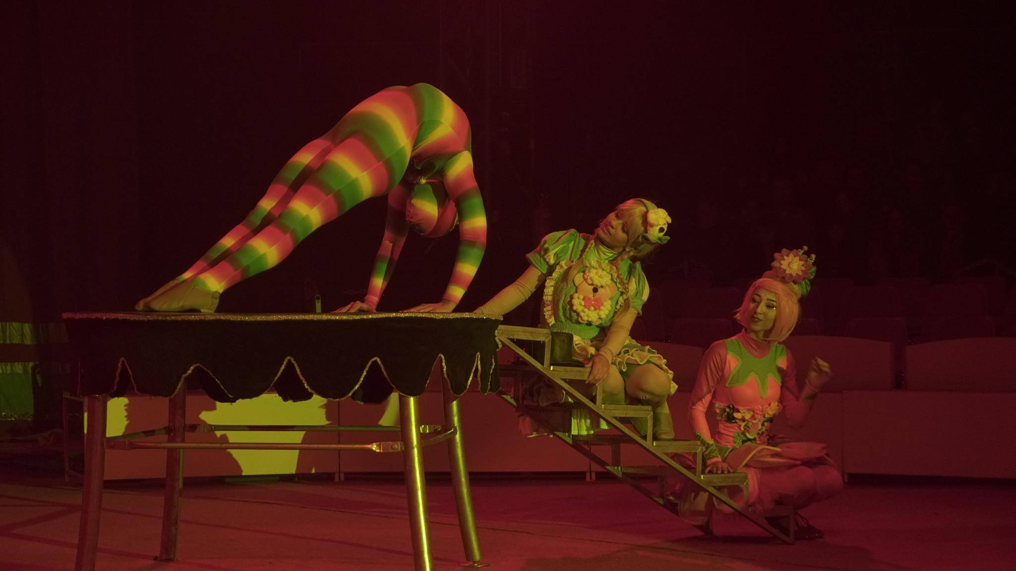 O Circo dos Sonhos está na cidade para conduzir o público a um universo mágico