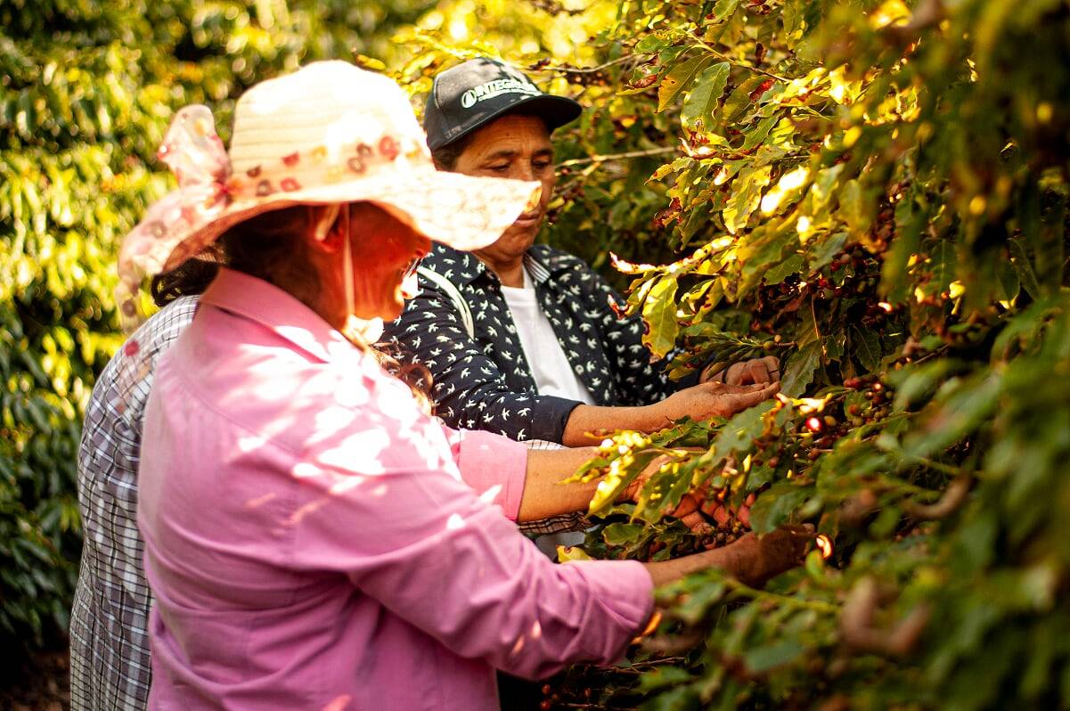Mulheres lideram os primeiros lugares em concursos, como o Qualidade Paraná