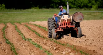 O PIB do Brasil em 2050 e o agronegócio