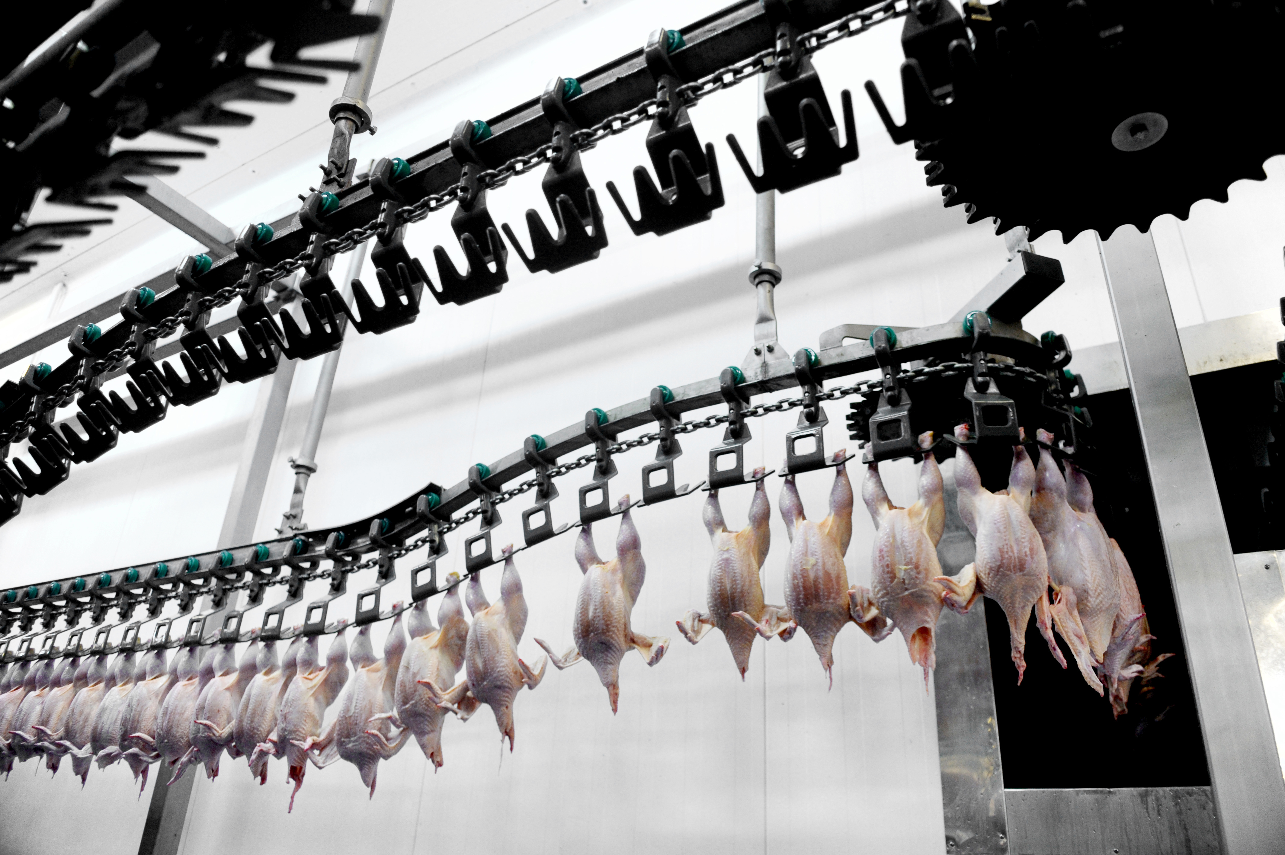 Preocupação da China com retorno do coronavírus chega ao setor de alimentos