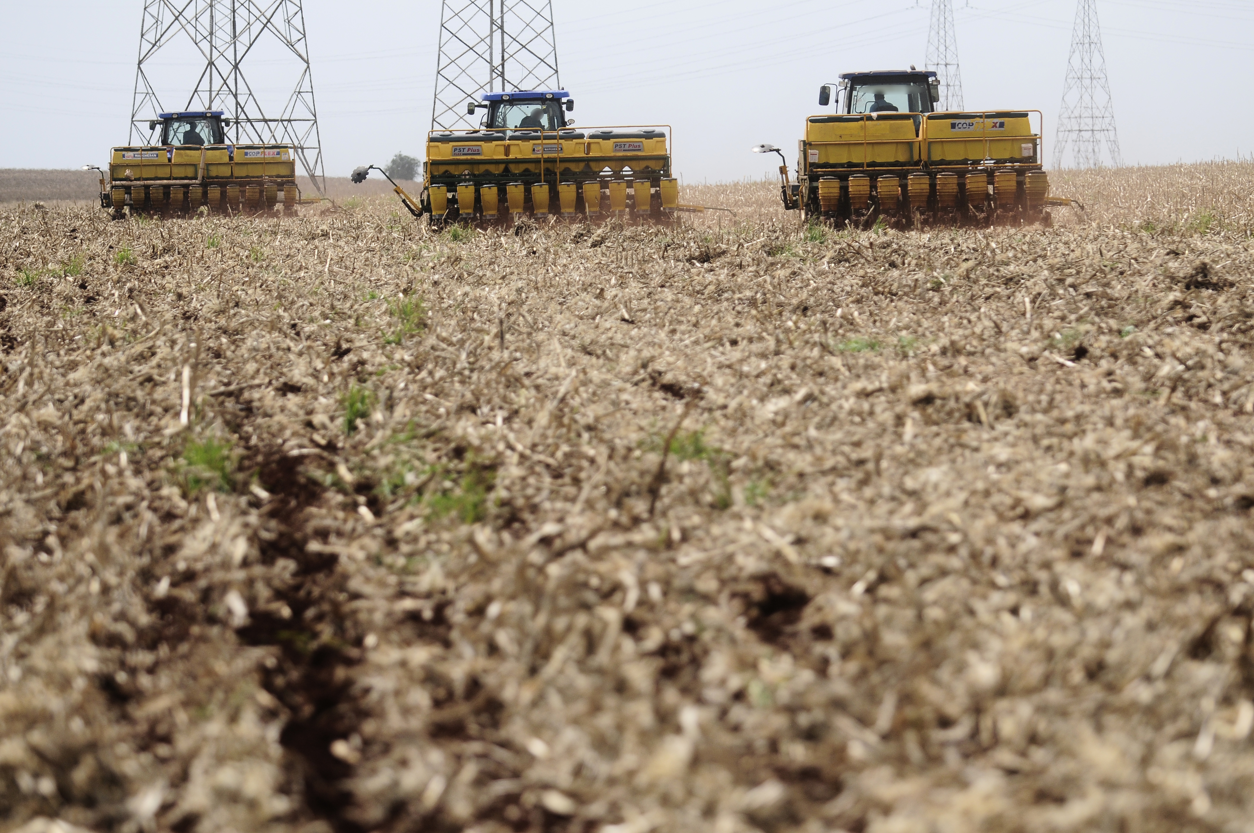 Especialistas explicam que contribui positivamente para o resultado a diversificação característica da agropecuária paranaense