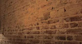 O conselho do papa