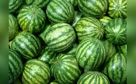 O planeta Fruta