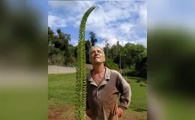 Um velho macacão